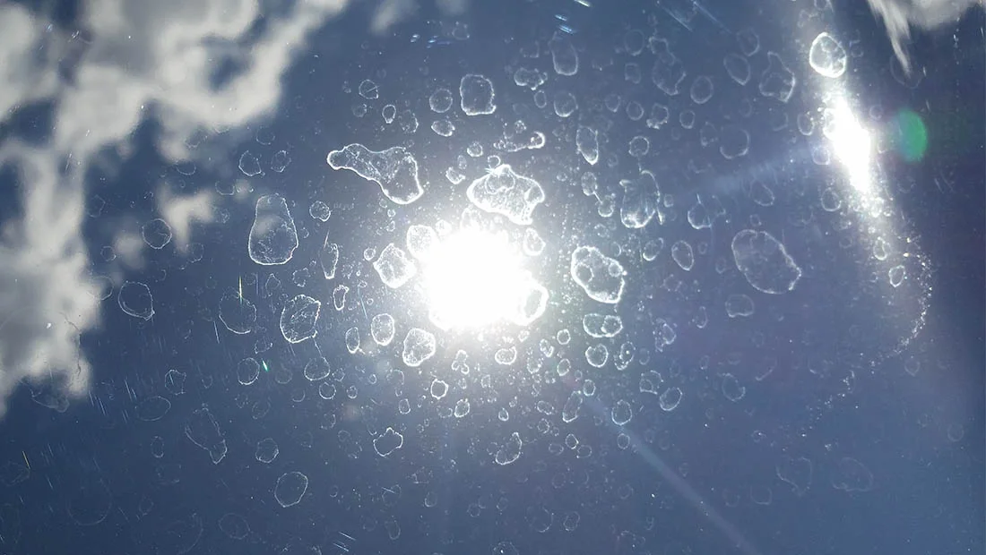 Water Spot Removal Package image