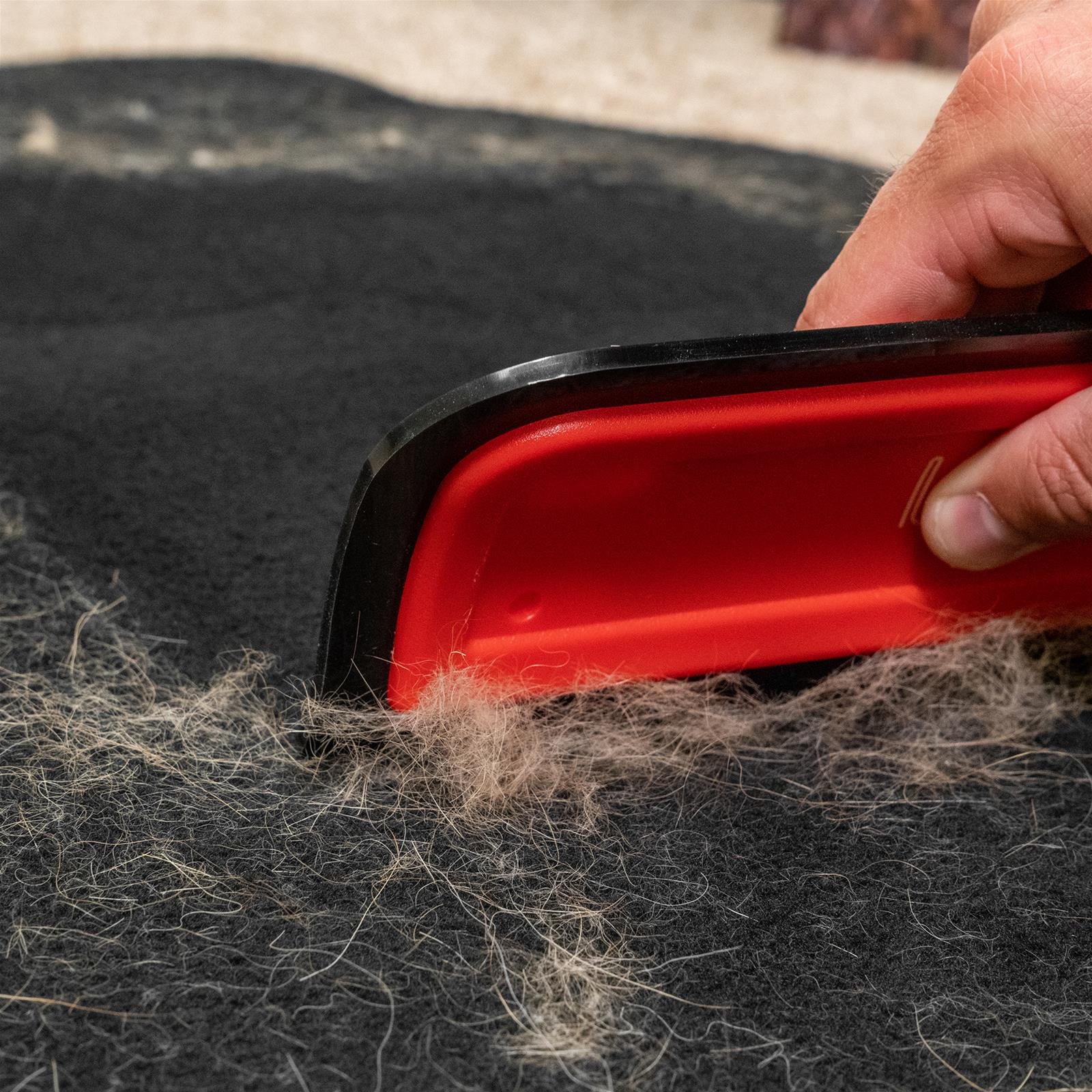 Pet Hair Removal Service image